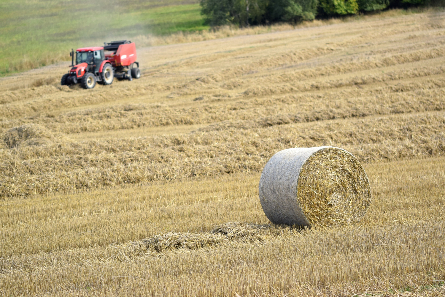 Baler Belt